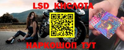 гидропоника Тара