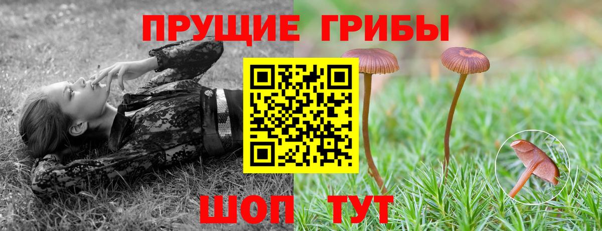 Галлюциногенные грибы GOLDEN TEACHER Назарово
